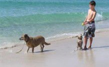 A Paradise Bungalow Waterfront - Dalby Accommodation 0