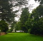 Brigalow Cottage - Dalby Accommodation