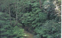 Eco Huts - Jervis Bay Getaways - Dalby Accommodation 1