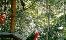 Eco Huts - Jervis Bay Getaways - Dalby Accommodation 2
