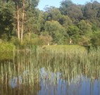 Fosterton Lodge Retreat - Dalby Accommodation