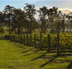 Hidden Treasure - Dalby Accommodation