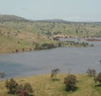 In The Heart Of Husky - Dalby Accommodation
