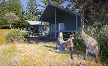 Norman Lindsay Cottage - Dalby Accommodation 9