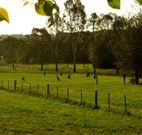 Stone Cottage Mittagong - Dalby Accommodation