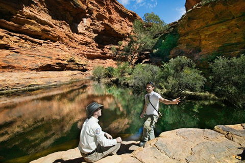 Kings Canyon Holiday Park - Dalby Accommodation 8