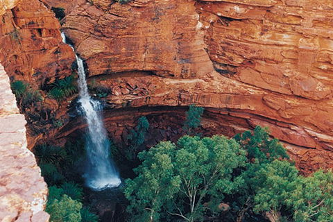 Kings Canyon Holiday Park - Dalby Accommodation 9