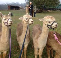 Bunyip Springs Farmstay - Dalby Accommodation