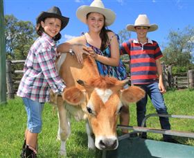 Bunyip Springs Farmstay - Dalby Accommodation 2