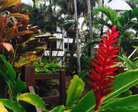 Club Tropical Resort Port Douglas - Dalby Accommodation 2