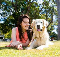 Jacobs Well Tourist Park - Dalby Accommodation