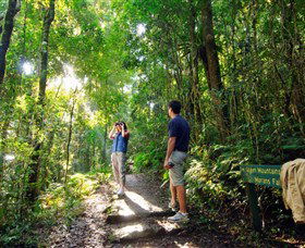 O'Reilly's Rainforest Retreat - Dalby Accommodation 2