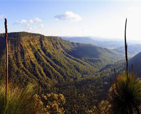 O'Reilly's Rainforest Retreat - Dalby Accommodation 3
