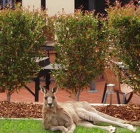 Alpha Canberra Hotel and Apartments - Dalby Accommodation
