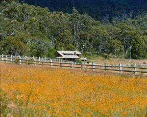 Pender Lea Alpine Guest Accommodation - Dalby Accommodation 1