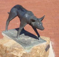 The Ardlethan Kelpie Caravan Park - Dalby Accommodation