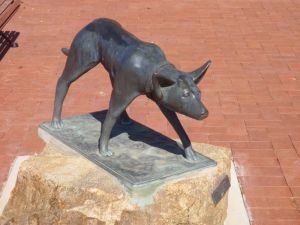 The Ardlethan Kelpie Caravan Park - Dalby Accommodation 0