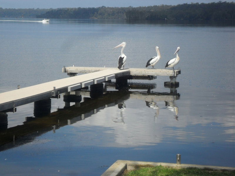 Basin View NSW Dalby Accommodation