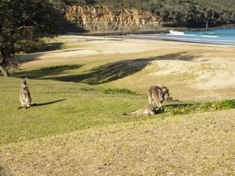 Creel Lodge - Dalby Accommodation 13