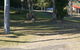 Tyndale Tourist Park & Roadhouse - thumb 3