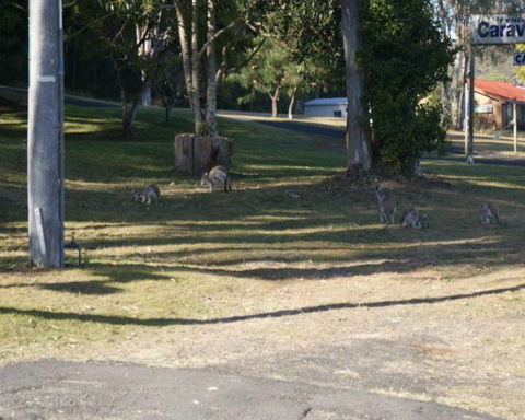 Tyndale Tourist Park & Roadhouse - Dalby Accommodation 3