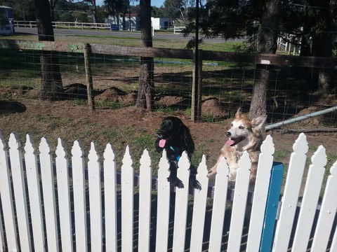 Wine Country Tourist Park - Dalby Accommodation 2
