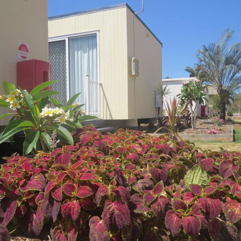 Bluewater Caravan Park - Dalby Accommodation 3