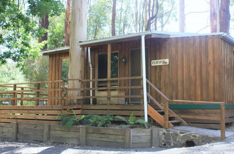 Tarra Valley Caravan Park - Dalby Accommodation 1