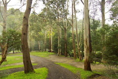 Tarra Valley Caravan Park - Dalby Accommodation 6