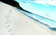 Seaglass - thumb 35