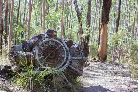 Kroombit Tops National Park Camping Ground - Dalby Accommodation 0