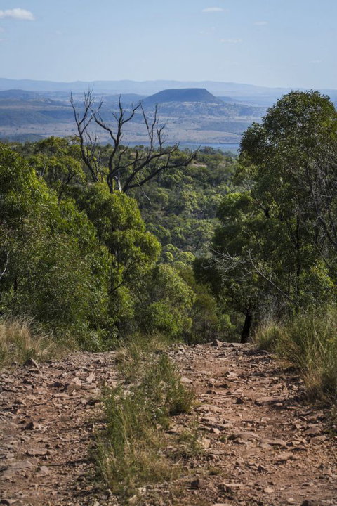 Kroombit Tops National Park Camping Ground - Dalby Accommodation 3