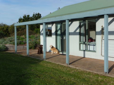 Johanna Bluegum Holiday Cabins - Dalby Accommodation 5