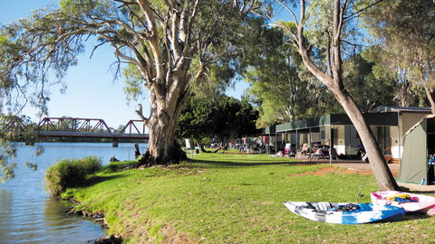 Riverbend Caravan Park Renmark - Dalby Accommodation 4