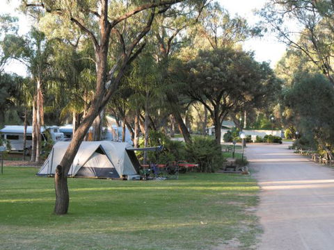 Riverbend Caravan Park Renmark - Dalby Accommodation 1