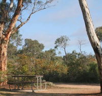 Drummonds Camp at Avon Valley National Park - Dalby Accommodation