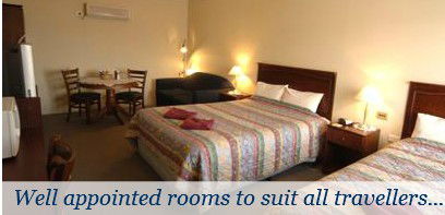 Broken Hill Oasis Motor Inn - Dalby Accommodation 3
