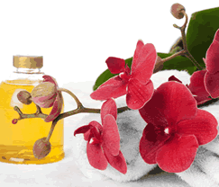 Sunny Hill Retreat Accommodation  Day Spa - Dalby Accommodation