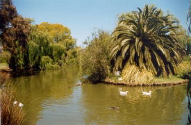 Brighton On The Park - Dalby Accommodation 3