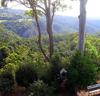 Mt Tamborine Motel - Dalby Accommodation