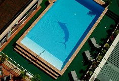 Pacific International Hotel - Dalby Accommodation 0