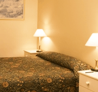Best Western Abel Tasman Airport Motor Inn - Dalby Accommodation