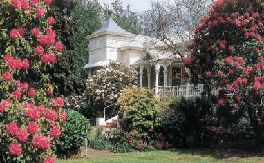 Anabel's of Scottsdale - Dalby Accommodation