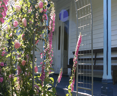 Devonport Bed And Breakfast - Dalby Accommodation