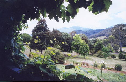 Springfield Cottage Bed & Breakfast - Dalby Accommodation 1