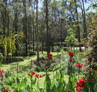 Werekataba - Dalby Accommodation
