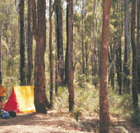 Nanga Mill Camp at Lane Poole Reserve - Dalby Accommodation