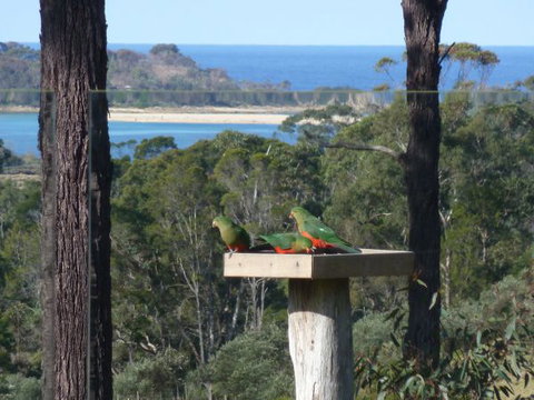 Indigo Couples Retreat Murrah Beach - Dalby Accommodation 8