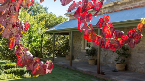 Grand Cru Estate Homestead - Dalby Accommodation 0