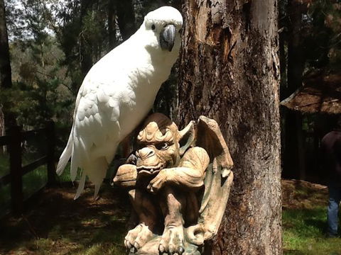 Beechworth Wildlife Stays - Dalby Accommodation 9